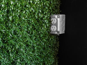 Metal electrical outlet against a vibrant green leaf wall, blending nature and industry.