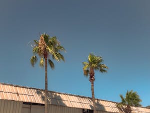 Low angle view of palm trees and building roof under a clear blue sky.