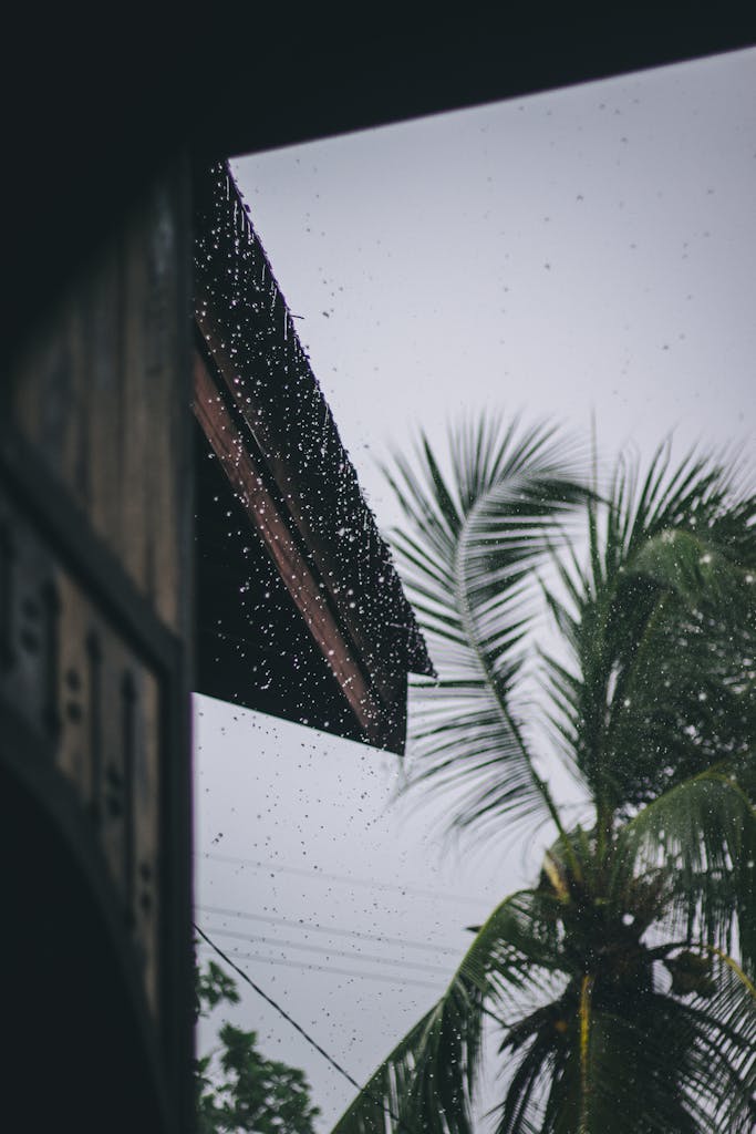 View of coconut palm tree and raindrops through a traditional building, evoking a tropical rainy atmosphere.