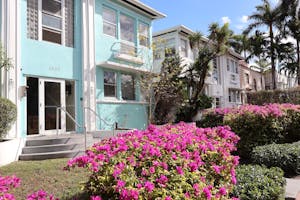 Charming pastel houses with vibrant pink azaleas and palm trees in a sunny setting.