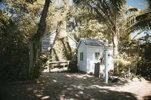 A serene backyard scene in Key West, featuring tropical trees and a small outbuilding.