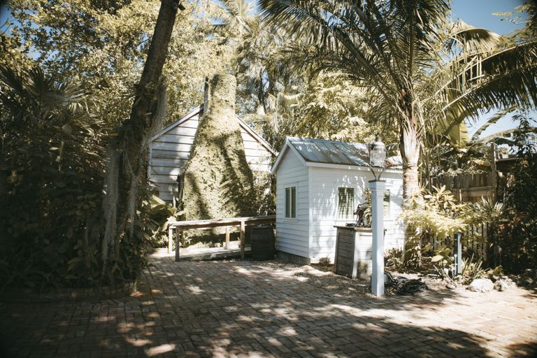 A serene backyard scene in Key West, featuring tropical trees and a small outbuilding.